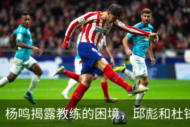 杨鸣揭露教练的困境，邱彪和杜锋的小团队行为是否成为自保策略？